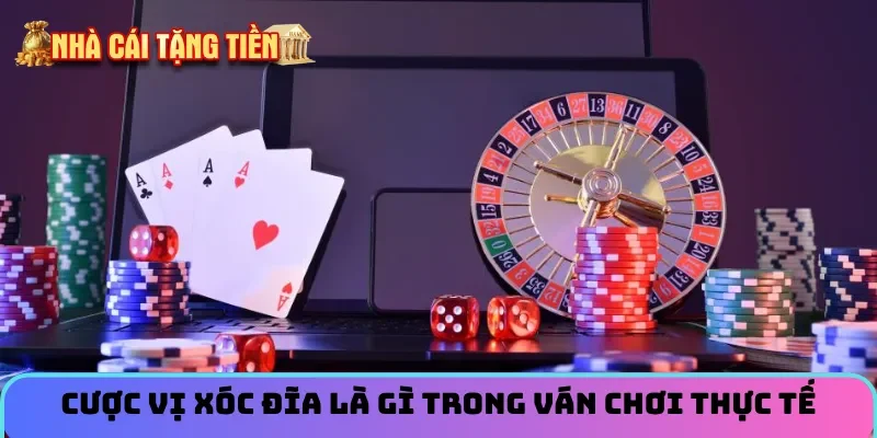 Cược vị xóc đĩa là gì trong ván chơi thực tế